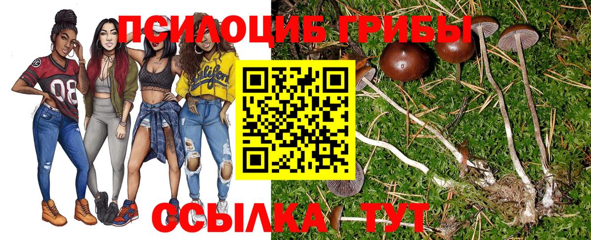 Галлюциногенные грибы ЛСД  Вход с VPN  Кропоткин 